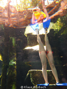 Strange creatures come to our Cenotes by Klaus Bosbach 